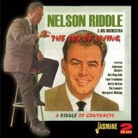 Riddle Nelson - Joy Of Living (A Riddle Of Contrast i gruppen CD / Pop-Rock hos Bengans Skivbutik AB (1008150)