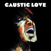 PAOLO NUTINI - CAUSTIC LOVE i gruppen VI TIPSAR / Julklappstips CD hos Bengans Skivbutik AB (1011658)