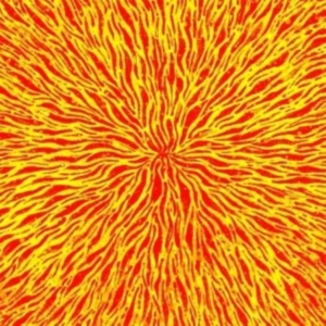 Cars & Trains - We Are All Fire i gruppen ÖVRIGT / Övrigt / aub hos Bengans Skivbutik AB (1012516)