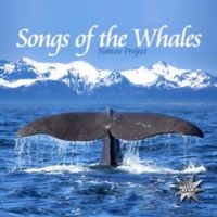 Various Artists - Songs Of The Whales i gruppen CD / Pop-Rock hos Bengans Skivbutik AB (1012692)