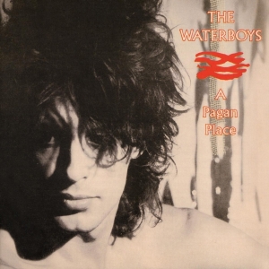 The Waterboys - A Pagan Place i gruppen Minishops / Waterboys hos Bengans Skivbutik AB (1016422)