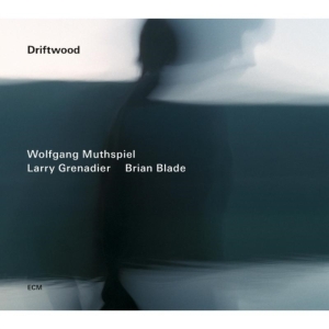 Wolfgang Muthspiel/Larry Grenadier/ - Driftwood i gruppen CD / Jazz hos Bengans Skivbutik AB (1030638)