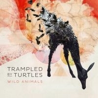 Trampled By Turtles - Wild Animals i gruppen CD / Pop-Rock hos Bengans Skivbutik AB (1032211)