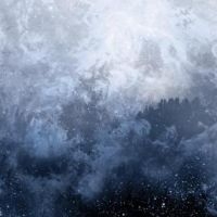 Wolves In The Throne Room - Celestite i gruppen VINYL / Hårdrock hos Bengans Skivbutik AB (1053001)