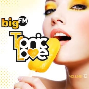 Blandade Artister - Big Fm Tropic Love Vol.12 i gruppen CD / Dans/Techno hos Bengans Skivbutik AB (1058282)