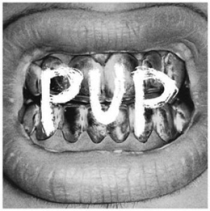 Pup - Pup i gruppen CD / Pop-Rock hos Bengans Skivbutik AB (1088484)
