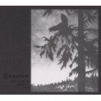 Empyrium - Where At Night The Wood Grouse Play i gruppen CD / Hårdrock,Pop-Rock hos Bengans Skivbutik AB (1093203)