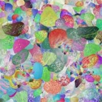 Grumbling Fur - Preternaturals i gruppen VINYL / Pop-Rock hos Bengans Skivbutik AB (1099023)