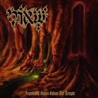 SHEOL - SEPULCHRAL RUINS BELOW THE TEMPLE i gruppen VI TIPSAR / Julklappstips CD hos Bengans Skivbutik AB (1110930)