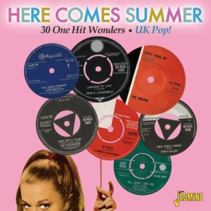 Various Artists - Here Comes Summer - 30 One Hit Wond i gruppen CD / Pop-Rock hos Bengans Skivbutik AB (1111476)