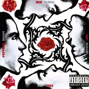 Red Hot Chili Peppers - Blood Sugar Sex Magik i gruppen ÖVRIGT / MK Test 9 LP hos Bengans Skivbutik AB (1115392)