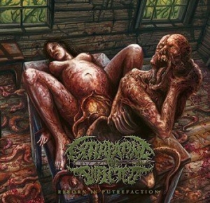 Extirpating The Infected - Reborn In Putrefaction i gruppen CD / Hårdrock/ Heavy metal hos Bengans Skivbutik AB (1117940)