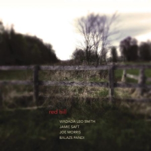 Wadada Leo Smith Jamie Saft Joe M - Red Hill i gruppen CD / Pop hos Bengans Skivbutik AB (1125539)