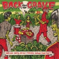 V/A - Back From The Grave Vol 10 - Vol.10 - Back From The Grave i gruppen VINYL / Pop-Rock hos Bengans Skivbutik AB (1166173)