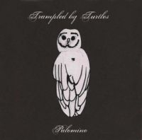 Trampled By Turtles - Palomino i gruppen CD / Pop-Rock hos Bengans Skivbutik AB (1166249)