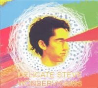 Delicate Steve - Wondervisions i gruppen VINYL / Pop-Rock hos Bengans Skivbutik AB (1186973)