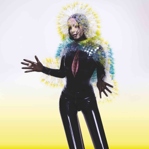 Bjork - Vulnicura i gruppen CD / Dance-Techno,Elektroniskt,Pop-Rock hos Bengans Skivbutik AB (1190045)