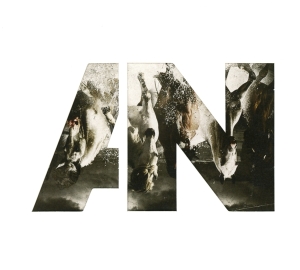 Awolnation - Run i gruppen CD / Pop-Rock hos Bengans Skivbutik AB (1193208)