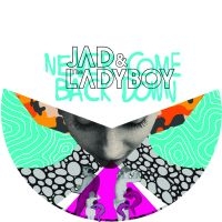 Jad & The Ladyboy - Never Come Back Down i gruppen VINYL / Dance-Techno hos Bengans Skivbutik AB (1244308)