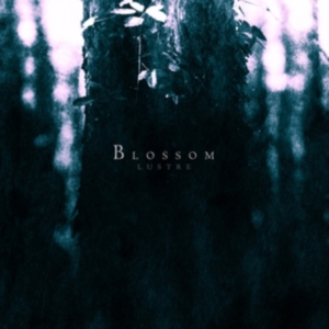 Lustre - Blossom i gruppen CD / Hårdrock,Svensk Folkmusik hos Bengans Skivbutik AB (1247388)