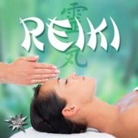 Various Artists - Reiki i gruppen CD / Pop-Rock hos Bengans Skivbutik AB (1247412)