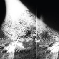 Godspeed You! Black Emperor - Asunder, Sweet And Other Distress ( i gruppen Minishops /  Godspeed You hos Bengans Skivbutik AB (1263302)