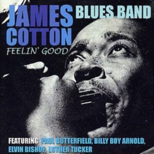 Cotton James - Feelin? Good i gruppen ÖVRIGT / Övrigt / aub hos Bengans Skivbutik AB (1266486)