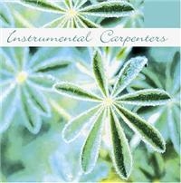 Instrumental Carpenters - Instrumental Carpenters i gruppen CD / Pop-Rock hos Bengans Skivbutik AB (1267013)