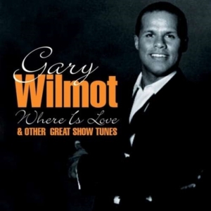 Wilmot Gary - Where Is Love & Other Great Show Tu i gruppen CD / Pop-Rock hos Bengans Skivbutik AB (1267041)
