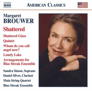 Brouwer - Shattered i gruppen Externt_Lager / Naxoslager hos Bengans Skivbutik AB (1271360)