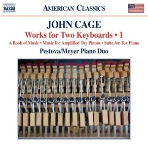 Cage - Works For Two Keyboards i gruppen Externt_Lager / Naxoslager hos Bengans Skivbutik AB (1271419)