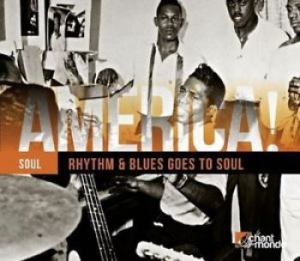 Blandade Artister - America! Vol.12 Rhythm And Blues i gruppen CD / Rock hos Bengans Skivbutik AB (1273302)