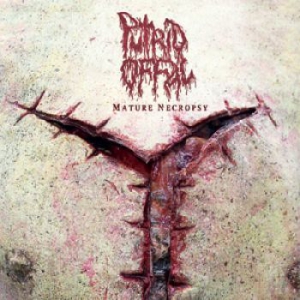 Putrid Offal - Mature Necropsy (2Cd) i gruppen CD / Hårdrock/ Heavy metal hos Bengans Skivbutik AB (1288023)