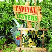 Capital Letters - Vinyard i gruppen VINYL / Reggae hos Bengans Skivbutik AB (1335115)