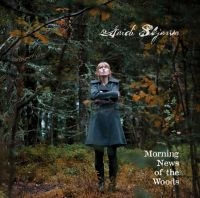 Skjerve Heidi - Morning News Of The Woods i gruppen CD / Jazz hos Bengans Skivbutik AB (1387097)