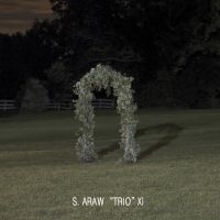 S. Araw Trio Xi - Gazebo Effect i gruppen VINYL / Pop-Rock hos Bengans Skivbutik AB (1475402)