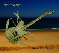 Walwyn Steve - Instinct To Survive i gruppen CD / Hårdrock,Pop-Rock hos Bengans Skivbutik AB (1484019)