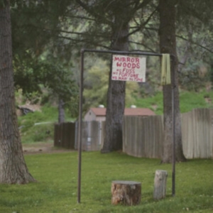 Creeping Pink - Mirror Woods i gruppen ÖVRIGT / Övrigt / aub hos Bengans Skivbutik AB (1484028)