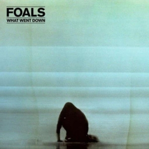 Foals - What Went Down i gruppen VINYL / Pop-Rock hos Bengans Skivbutik AB (1485885)