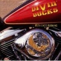 DIVIN DUCKS - BOTH ENDS BURNING i gruppen VI TIPSAR / Julklappstips CD hos Bengans Skivbutik AB (1510711)