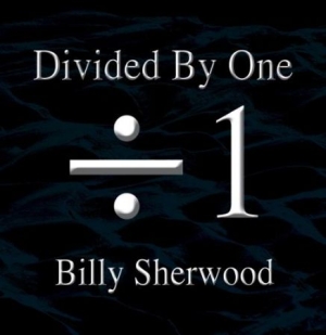 Sherwood Billy - Divided By One i gruppen CD / Rock hos Bengans Skivbutik AB (1521261)