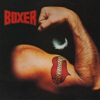 Boxer - Absolutely i gruppen CD / Pop-Rock hos Bengans Skivbutik AB (1539797)