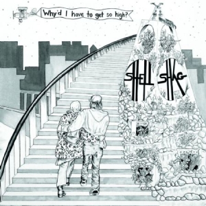 Shellshag - Why'd I Have To Get So High? i gruppen VINYL / Pop-Rock hos Bengans Skivbutik AB (1541534)