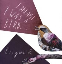 Ward Lucy - I Dreamt I Was A Bird i gruppen CD / Pop-Rock hos Bengans Skivbutik AB (1545946)