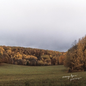 Evening Hymns - Quiet Energies i gruppen CD / Pop-Rock hos Bengans Skivbutik AB (1705274)