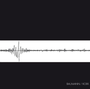 Baumann/Koek - Baumann/Koek i gruppen CD / Pop hos Bengans Skivbutik AB (1707917)