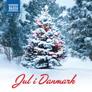 Various - Jul I Danmark i gruppen CD / Julmusik,Klassiskt hos Bengans Skivbutik AB (1713014)