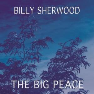 Sherwood Billy - Big Peace i gruppen CD / Pop-Rock hos Bengans Skivbutik AB (1735144)