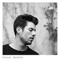 Wangel - Freedom i gruppen VINYL / Dansk Musik,Pop-Rock hos Bengans Skivbutik AB (1735352)