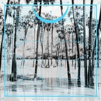 FOUR TET - PINK i gruppen VI TIPSAR / Julklappstips Vinyl hos Bengans Skivbutik AB (1735586)